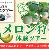 フィットネス&ストレッチ健康の森-バナー-渡辺喜久男のおたからフランチャイズニュース