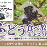 フィットネス&ストレッチ健康の森-バナー-渡辺喜久男のおたからフランチャイズニュース